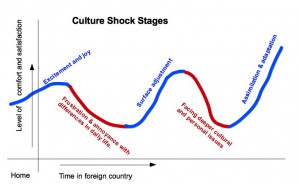Fases del choque cultural